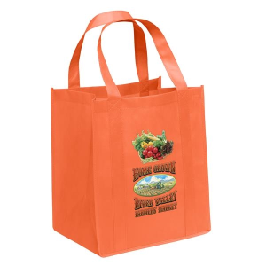 Big Thunder® Tote - Color Vista