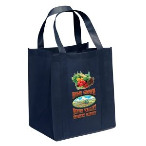 Big Thunder® Tote - Color Vista